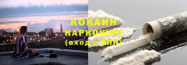 шишки Абаза