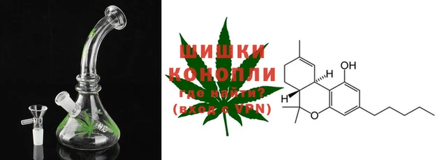шишки Абаза