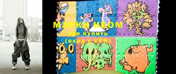 шишки Абаза