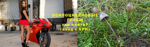 герыч Абинск