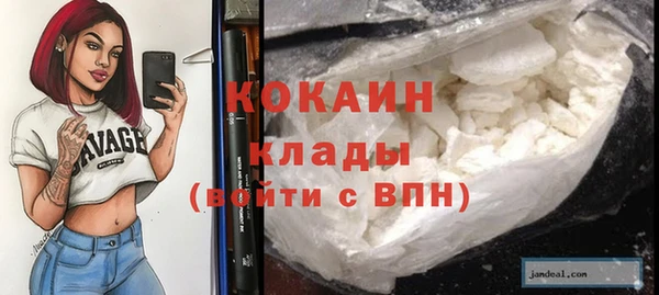 шишки Абаза