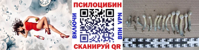 Галлюциногенные грибы мицелий  закладка  Кадников 